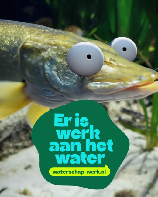 Er is werk aan het water